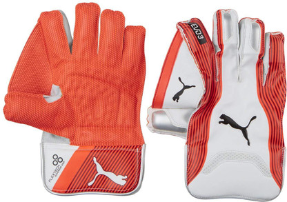 puma evo 3 wicket keeping gloves