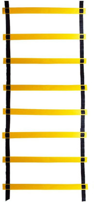exercise ladder