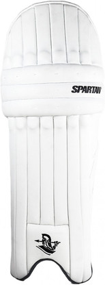 sachin batting pads