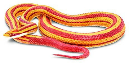 corn snake leash