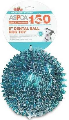 Bow Wow Pet Aspca 5 Dental Ball Dog Toy Plastic Chew Toy For Dog Price In India Buy Bow Wow Pet Aspca 5 Dental Ball Dog Toy Plastic Chew Toy For Bow Wow Pet Aspca 5 Dental Ball Dog Toy Plastic Chew Toy For Dog Price In India Buy Bow Wow Pet Aspca 5 Dental Ball Dog Toy Plastic Chew Toy For