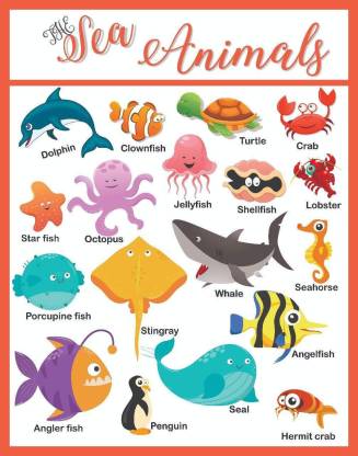Sea Animals Educational Charts for Kids Home and School A3 Size.  Photographic Paper - Educational, Children, Animation & Cartoons, Animals  posters in India - Buy art, film, design, movie, music, nature and