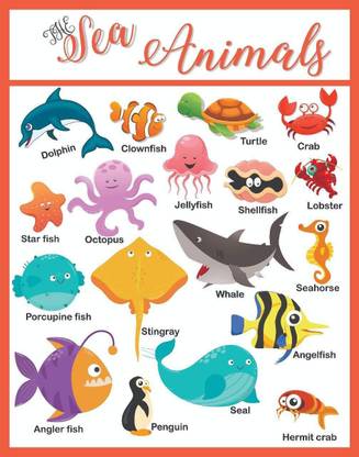 Sea Animals Educational Charts for Kids Home and School A3 Size. Photographic Paper - Educational, Children, Animation & Cartoons, Animals posters in India - Buy art, film, design, movie, music, nature and Sea Animals Educational Charts for Kids Home and School A3 Size. Photographic Paper - Educational, Children, Animation & Cartoons, Animals posters in India - Buy art, film, design, movie, music, nature and