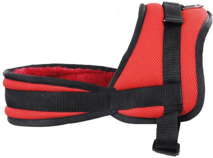 large dog chest harness