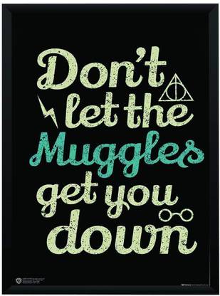 WB Official Licensed Harry Potter Dont Let The Muggles Get You Down ...