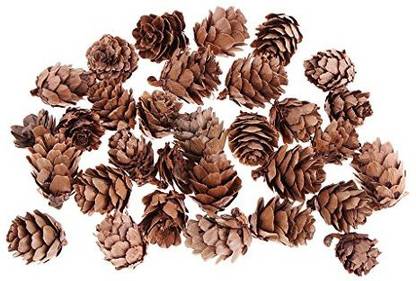 30pcs Cute Natural Dried Pine Cones In Bulk Dried Flowers for Xmas Decor 30pcs Cute Natural Dried Pine Cones In Bulk Dried Flowers for Xmas Decor