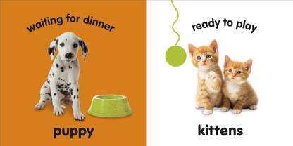 Baby Animals Buy Baby Animals By Dk At Low Price In India Flipkart Com