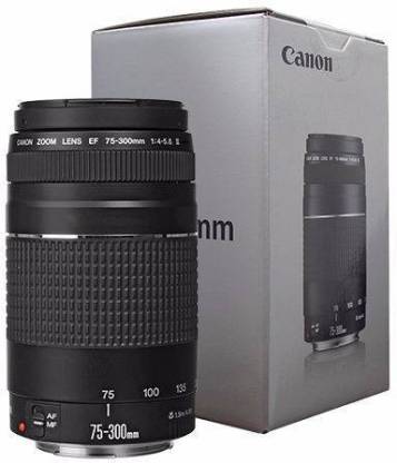 Canon Ef 75 300 Mm F 4 5 6 Iii Telephoto Zoom Lens Canon Flipkart Com