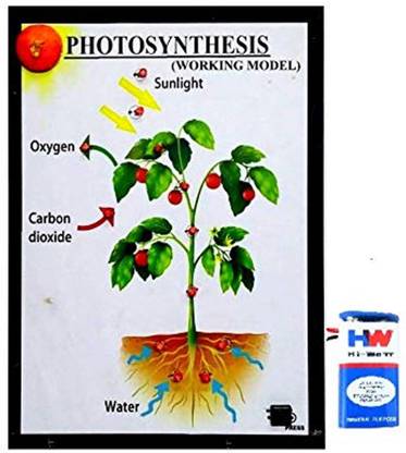 Melody S Photosynthesis Biology Working Science Project Model Micro Controller Board Electronic Hobby Kit Price In India Buy Melody S Photosynthesis Biology Working Science Project Model Micro Controller Board Electronic Hobby Kit Online At Flipkart Com Melody S Photosynthesis Biology Working Science Project Model Micro Controller Board Electronic Hobby Kit Price In India Buy Melody S Photosynthesis Biology Working Science Project Model Micro Controller Board Electronic Hobby Kit Online At Flipkart Com