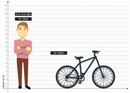 dynamite zx cycle