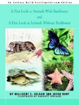A First Look at Animals With Backbones and A First Look at Animals Without  Backbones: Buy A First Look at Animals With Backbones and A First Look at Animals  Without Backbones by