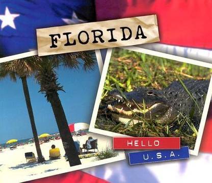 Hello Usa Florida Buy Hello Usa Florida By Sirvaitis At Low Price In India Flipkart Com Selling electronic products on flipkart will have advantages because flipkart is a company which specialize in books business and electronic products business at the early time. flipkart