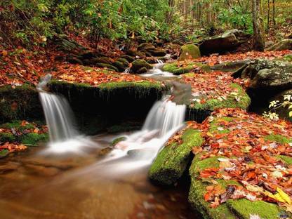Nature Beautiful Vastu Wallpaper Green Forest Pleasant Water Flow Sticker 12 x 18 inch Fine Art Print - Nature posters in India - Buy art, film, design, movie, music, nature and educational Nature Beautiful Vastu Wallpaper Green Forest Pleasant Water Flow Sticker 12 x 18 inch Fine Art Print - Nature posters in India - Buy art, film, design, movie, music, nature and educational