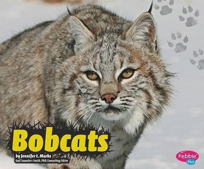 Bobcats: Buy Bobcats by Marks Jennifer L at Low Price in India |  