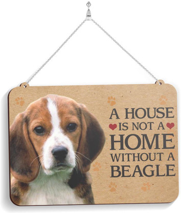 beagle plates