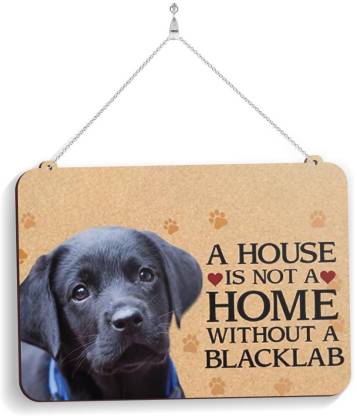 how big should a dog door be for a lab