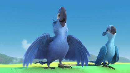 Movie Rio Hd Wallpaper Background Paper Print Movies Posters In India Buy Art Film Design Movie Music Nature And Educational Paintings Wallpapers At Flipkart Com