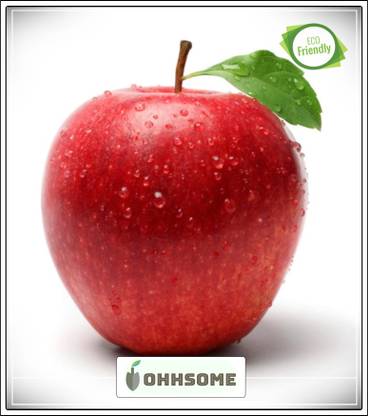 Ohhsome Fruit Seeds American Imported Yellow Golden Apple Seeds Fruit Seeds Fruit Seeds Pack Seed Price In India Buy Ohhsome Fruit Seeds American Imported Yellow Golden Apple Seeds Fruit