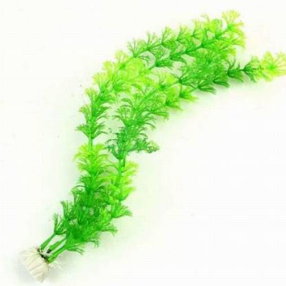 Pets Empire 1pcs Artificial Aquatic Plants Plastic Fish Tank Decorations Vivid Green Aquarium Plants Aquarium Plant Anchor Price In India Buy Pets Empire 1pcs Artificial Aquatic Plants Plastic Fish Tank Decorations Vivid Green