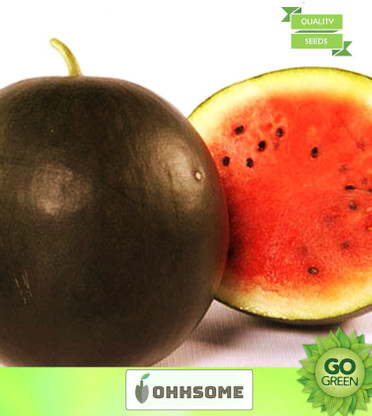OhhSome Vegetable Seeds Giant Bangalore 