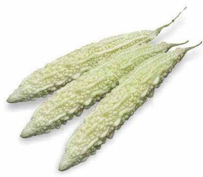Airex Bitter Gourd White Long Seeds Pack Of 50 Seeds X 3 Packet Seed Price In India Buy Airex Bitter Gourd White Long Seeds Pack Of 50 Seeds X 3 Packet