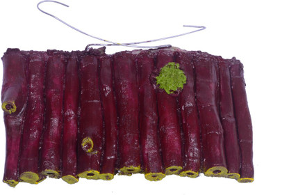 turtle stand for aquarium