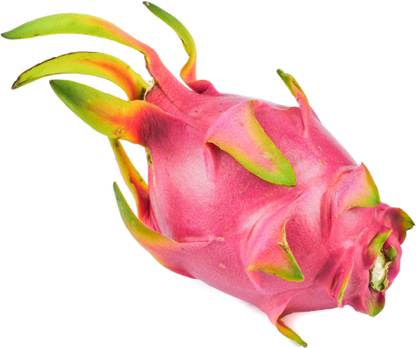 Dragon Fruit 1 Units Price In India Buy Dragon Fruit 1 Units Online At Flipkart Com Dragon Fruit 1 Units Price In India Buy Dragon Fruit 1 Units Online At Flipkart Com