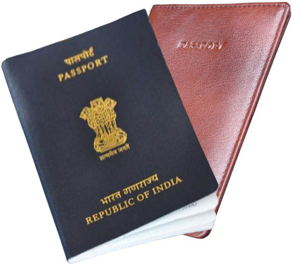 passport pouch leather