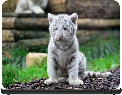 GEOBYTE White Tiger Tiger Tiger Cub Cat Wild Cat Predator 93751 Vinyl Laptop Decal Price in India - Buy GEOBYTE White Tiger Tiger Tiger Cub Cat Wild Cat Predator 93751 Vinyl GEOBYTE White Tiger Tiger Tiger Cub Cat Wild Cat Predator 93751 Vinyl Laptop Decal Price in India - Buy GEOBYTE White Tiger Tiger Tiger Cub Cat Wild Cat Predator 93751 Vinyl