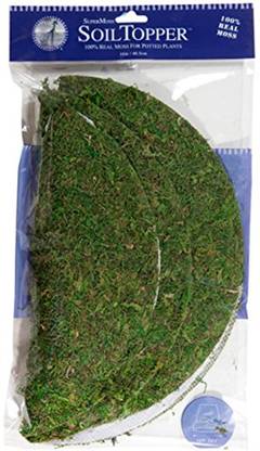 Supermoss 26315 Preserved Soil Topper Moss Pot 12 Inch 26315 Preserved Soil Topper Moss Pot 12 Inch Shop For Supermoss Products In India Flipkart Com