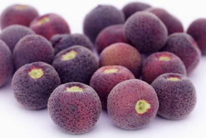 First Crop Phalsa Fruit Tree Seeds Grewia Asiatica Seed Price In India Buy First Crop Phalsa Fruit Tree Seeds Grewia Asiatica Seed Online At Flipkart Com
