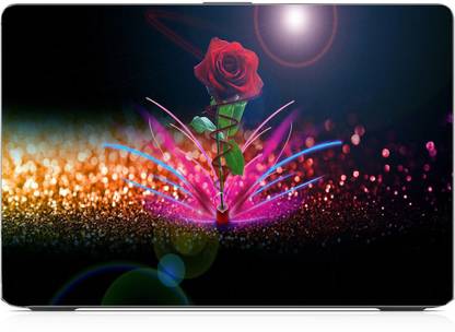 hd arts flower nature wallpaper