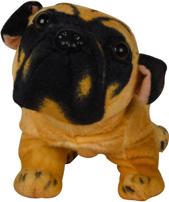 pug teddy bear dog