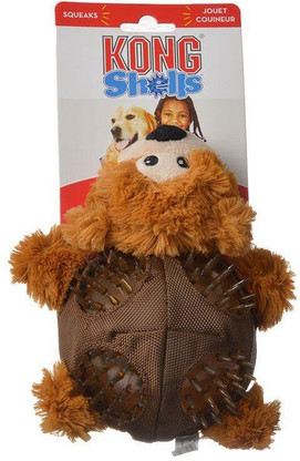 kong shells bear