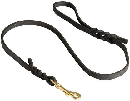 dog show leash