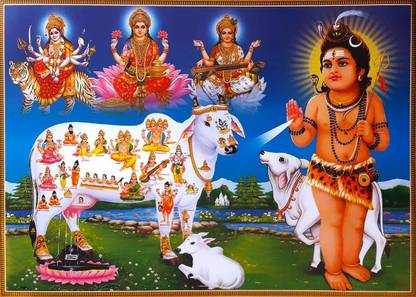 Kamadhenu The Sacred Cow Wall Poster Hindu God Poster 12 X 18 Inch Unframed Paper Print Religious Posters In India Buy Art Film Design Movie Music Nature There are 748 cow god for sale on etsy, and they cost 44,86 $ on average. kamadhenu the sacred cow wall poster hindu god poster 12 x 18 inch unframed paper print