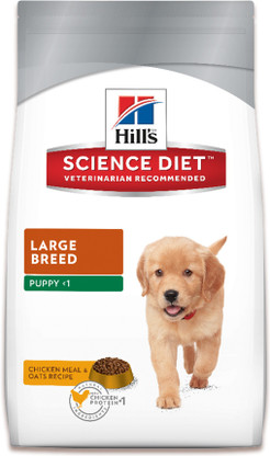 hills puppy food price