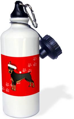 3dRose Cartoon Dog - Red with Sports Water Bottle 600 ml Bottle - Buy  3dRose Cartoon Dog - Red with Sports Water Bottle 600 ml Bottle Online at  Best Prices in India -