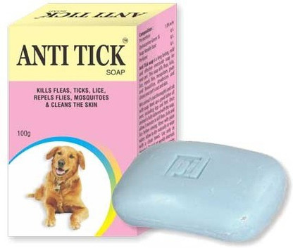 dog soap
