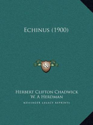 Echinus (1900)