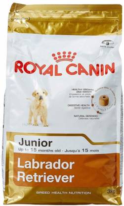 Kleren elektrode Bungalow RC Royal Canin Labrador Retriever Junior Puppy Food,3kg 3 kg Dry New Born,  Young Dog Food Price in India - Buy RC Royal Canin Labrador Retriever Junior  Puppy Food,3kg 3 kg Dry