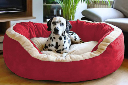 dog bed flipkart