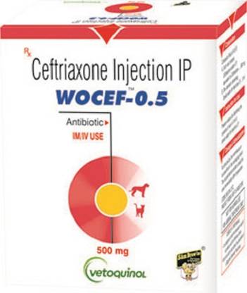 Vetoquinol Wocef 0 5 Broad Spectrum Antibiotic For Dogs Cats Pet First Aid Kit Price In India Buy Vetoquinol Wocef 0 5 Broad Spectrum Antibiotic For Dogs Cats Pet First Aid Kit Online