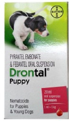 drontal price