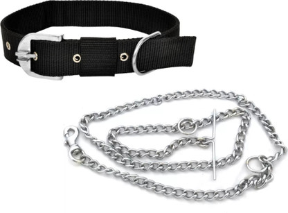 black chain dog collar