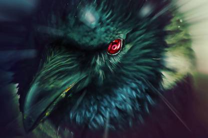 Athah Anime Naruto Artistic Bird Raven Dark Red Eyes Close-Up 13*19 inches Wall Poster Matte Finish Paper Print - Animation & Cartoons posters in India - Buy art, film, design, movie, music, Athah Anime Naruto Artistic Bird Raven Dark Red Eyes Close-Up 13*19 inches Wall Poster Matte Finish Paper Print - Animation & Cartoons posters in India - Buy art, film, design, movie, music,