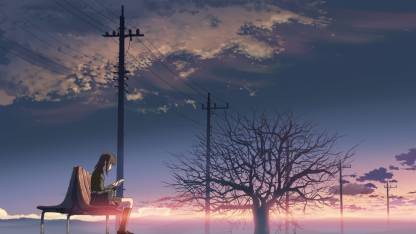 Athah Anime 5 Centimeters Per Second 5 Centimeters Per Second Akari Shinohara 13 19 Inches Wall Poster Matte Finish Paper Print Animation Cartoons Posters In India Buy Art Film Design