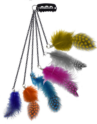 feather extension clips