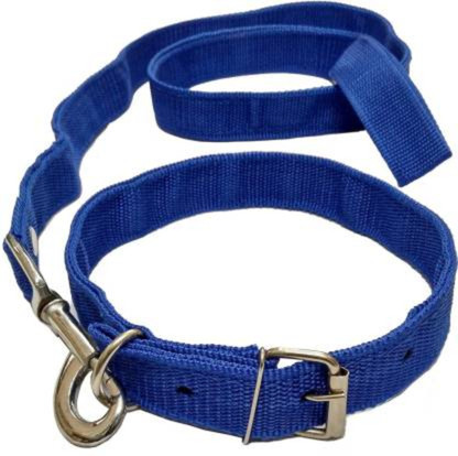 dog belt online flipkart