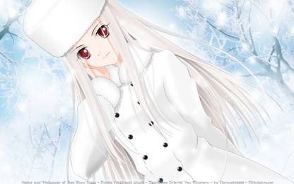 Athah Anime Fate Zero Fate Series Irisviel Von Einzbern 13 19 Inches Wall Poster Matte Finish Paper Print Animation Cartoons Posters In India Buy Art Film Design Movie Music Nature And